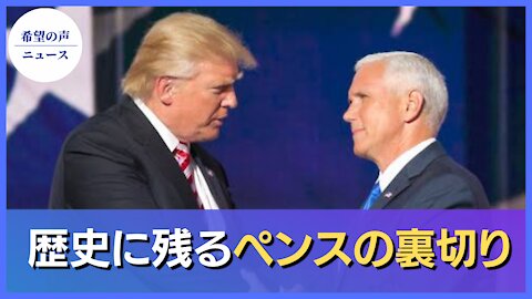 ナバロ氏：ペンスの裏切りは歴史に残る【希望の声ニュース/hope news】