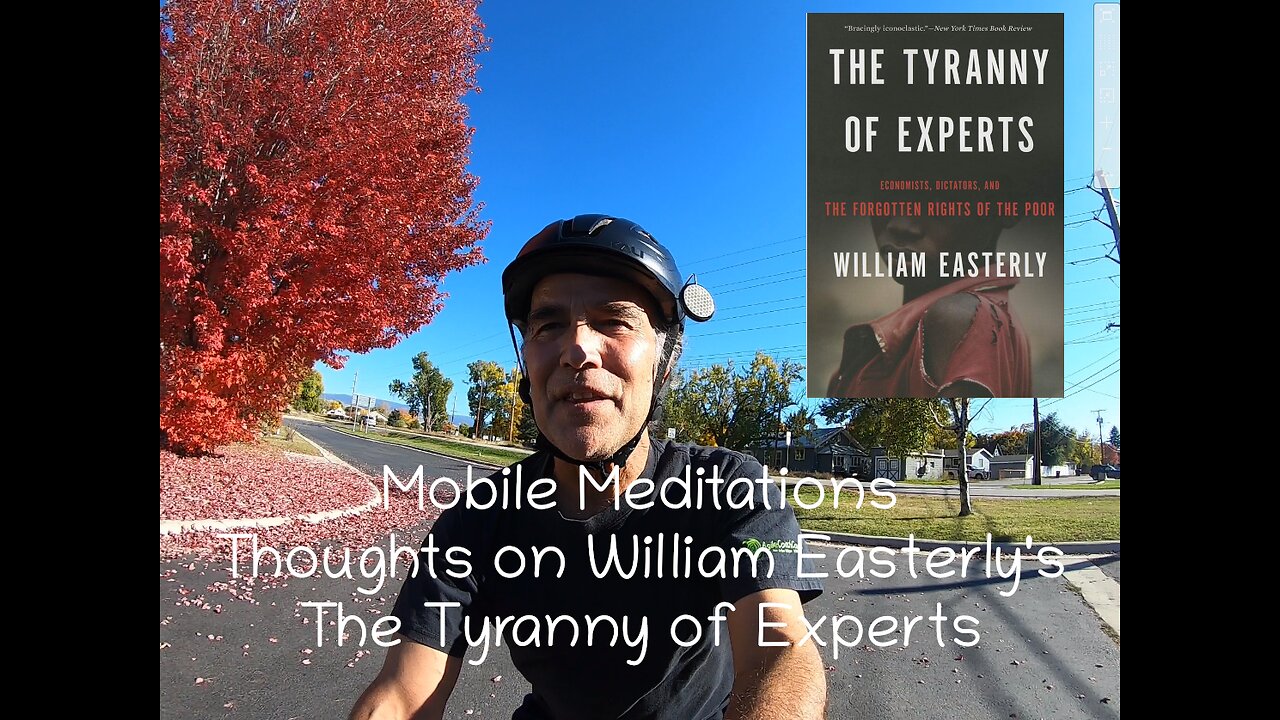 Mobile Meditations on William Easterly's The Tyranny of Experts