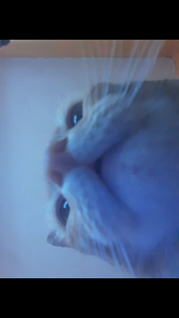 what’s your friends group chat name ? #tea #friends #groupchat #girlsgroupchat #chisme #gossip