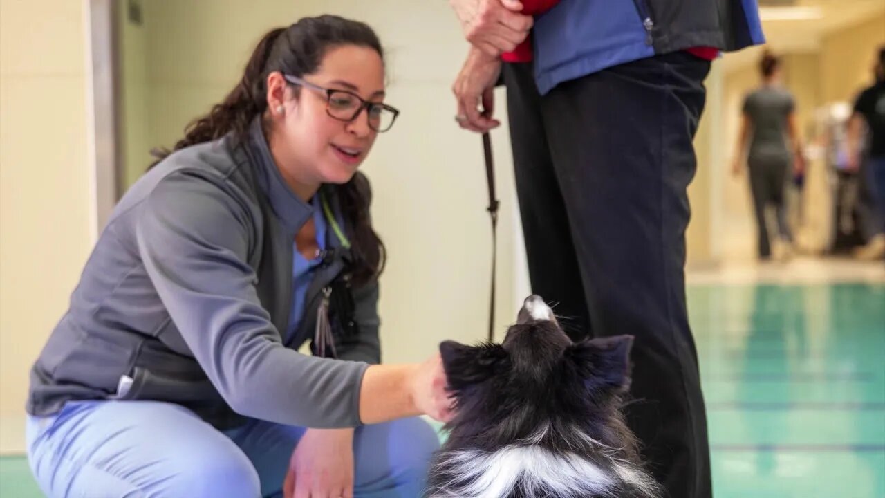 Granny Brings Her Dog To The Human Hospital For Help