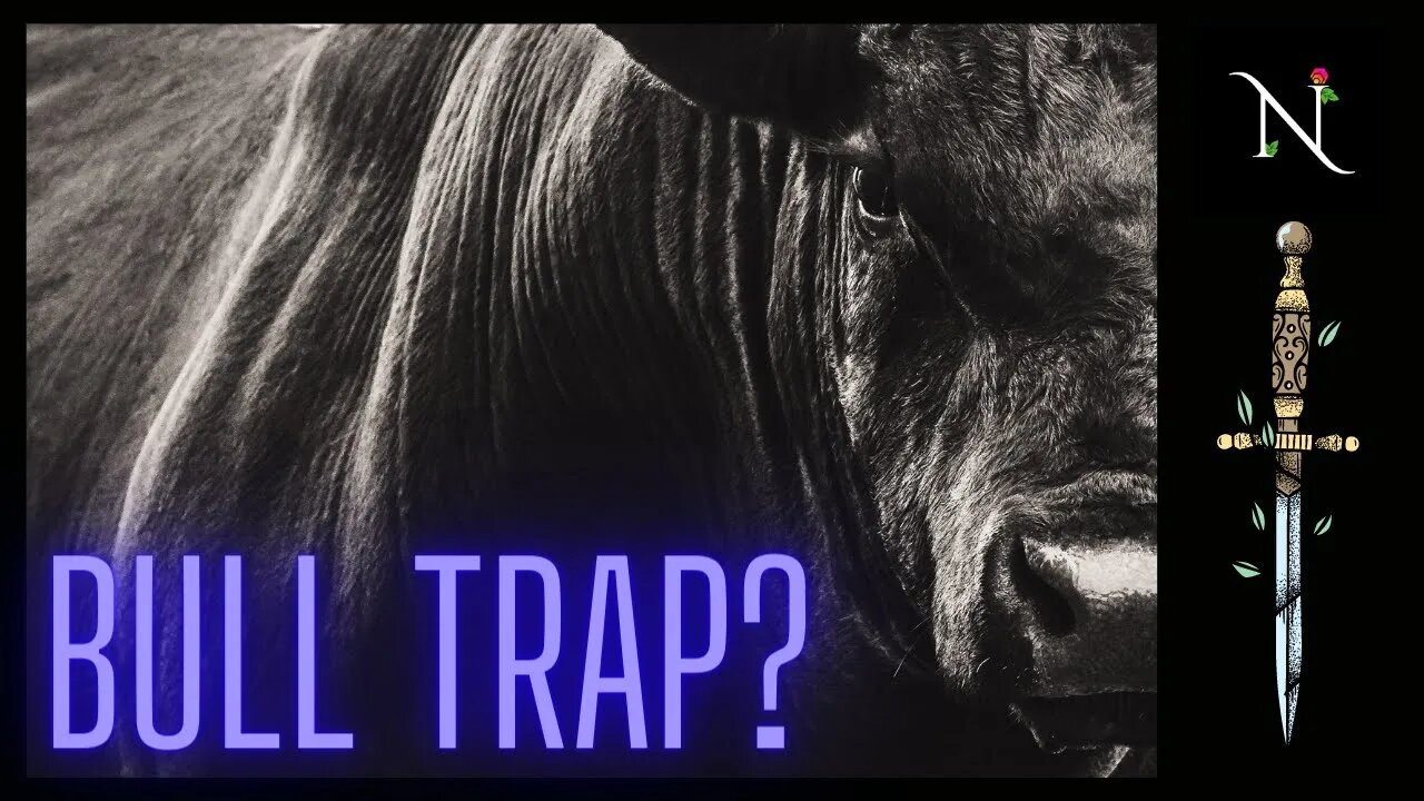 Bull Market or Bull Trap? : The Mint Factory