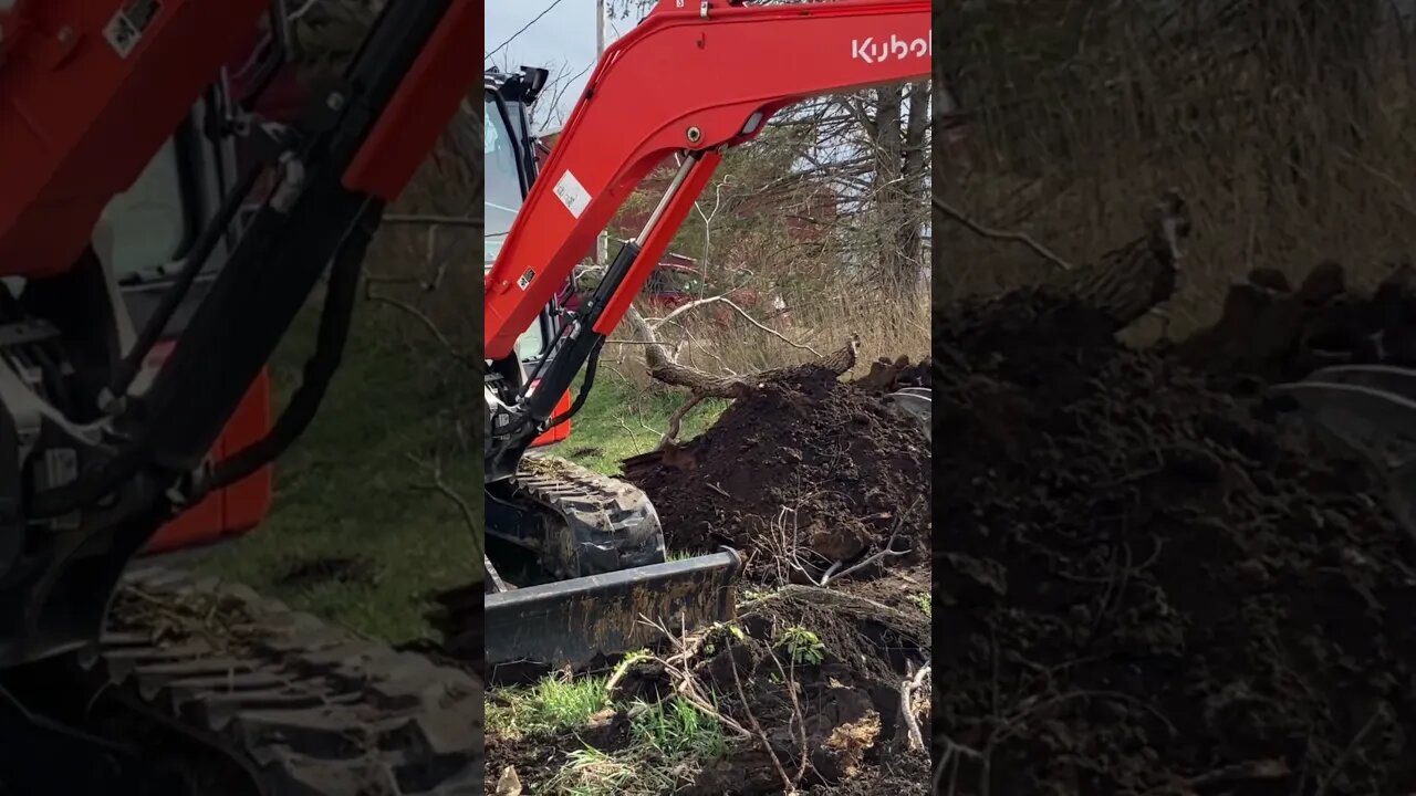 Spring cleaning on the Grumpy farmstead: And first time scooping dirt for the new guy.