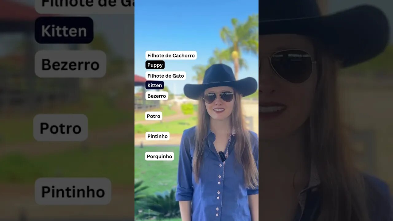 Aprenda Inglês com Filhotes Fofinhos!