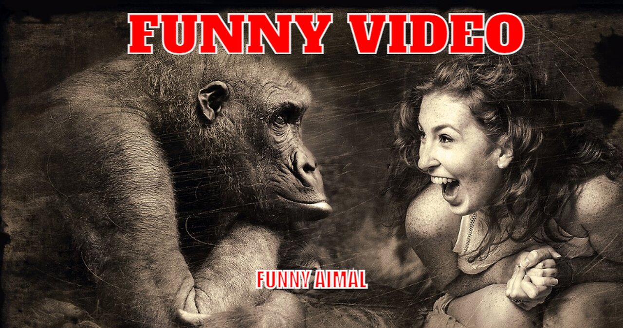 Hilarious Animal Antics: A Laugh-a-Minute Compilation of Funny Animals Videos #shorts