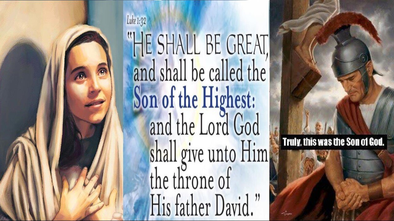 NOT SOME HALF-BAKED BOLOGNA STUFF B-311