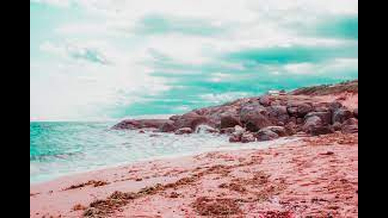 Pink Sands Beach| Harbor Islands| Bahamas