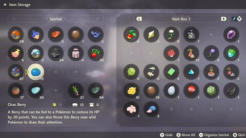 Pokémon LEGENDS OF ARCEUS Game Play Part 23