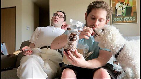 My Dog Tries Japanese Dog Food!