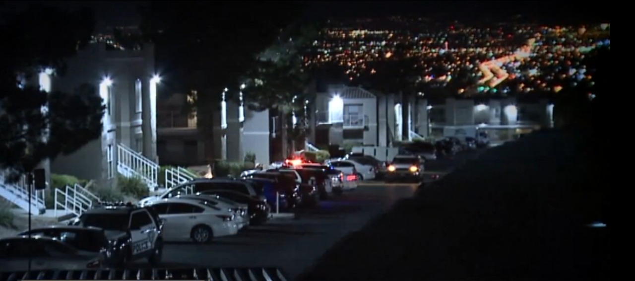 Falling through the cracks: Child deaths in NV