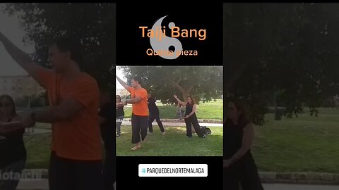 Tai Chi con bastón corto, Taichi Bang Elemento madera en su máxima expresión #shorts