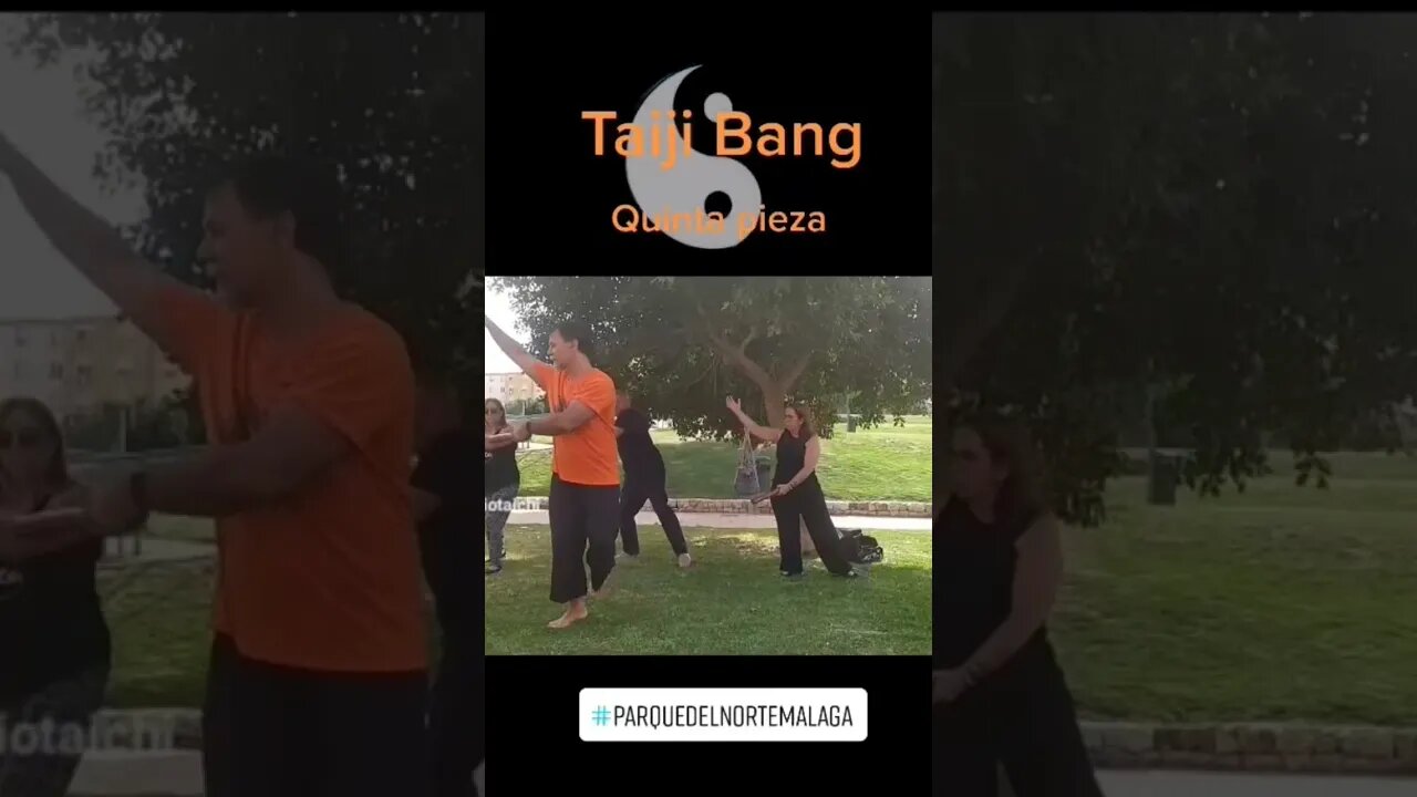 Tai Chi con bastón corto, Taichi Bang Elemento madera en su máxima expresión #shorts