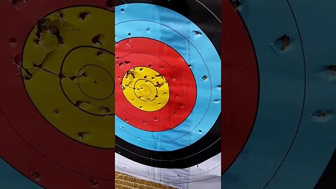 When the archery target gets boring do this...