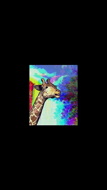 giraffe by karthik #nftart #nft #musicnft