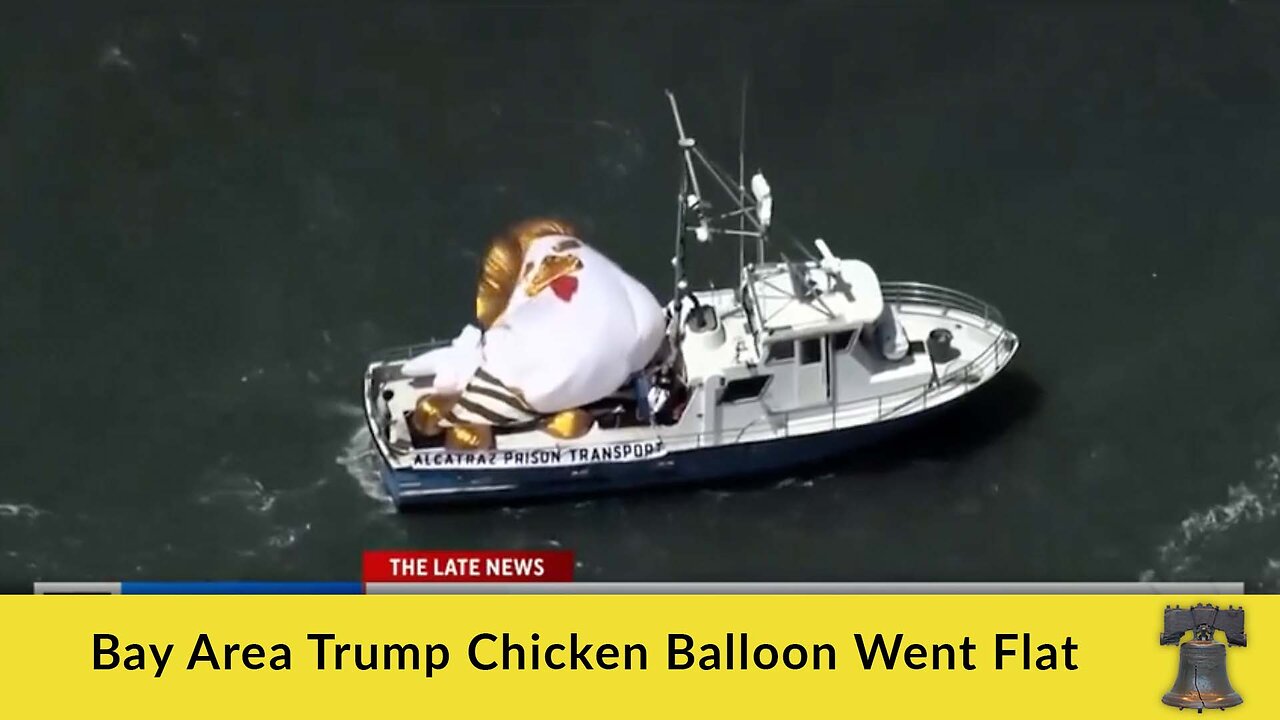 Bay Area Trump Chicken Balloon Went Flat