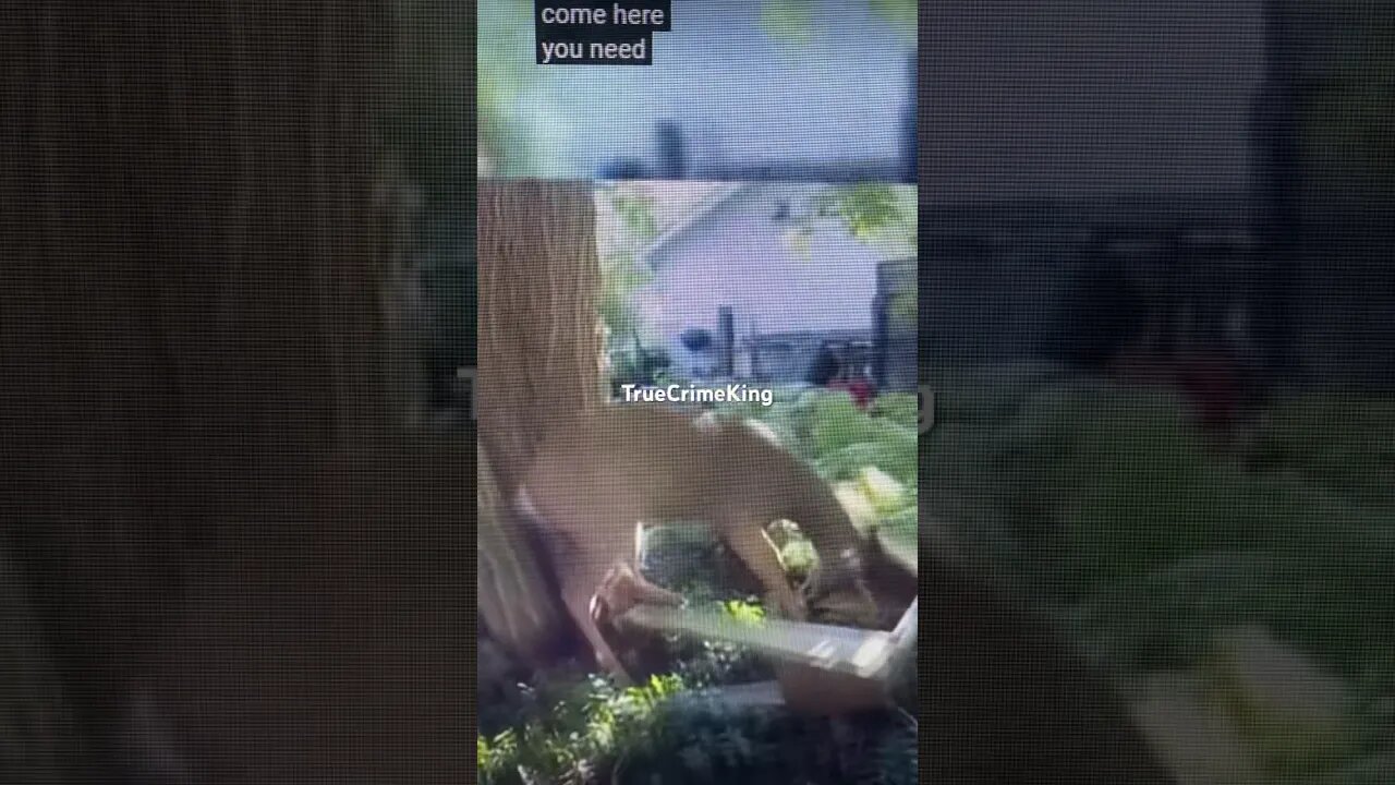 Deer freaks out after being rescued!!!