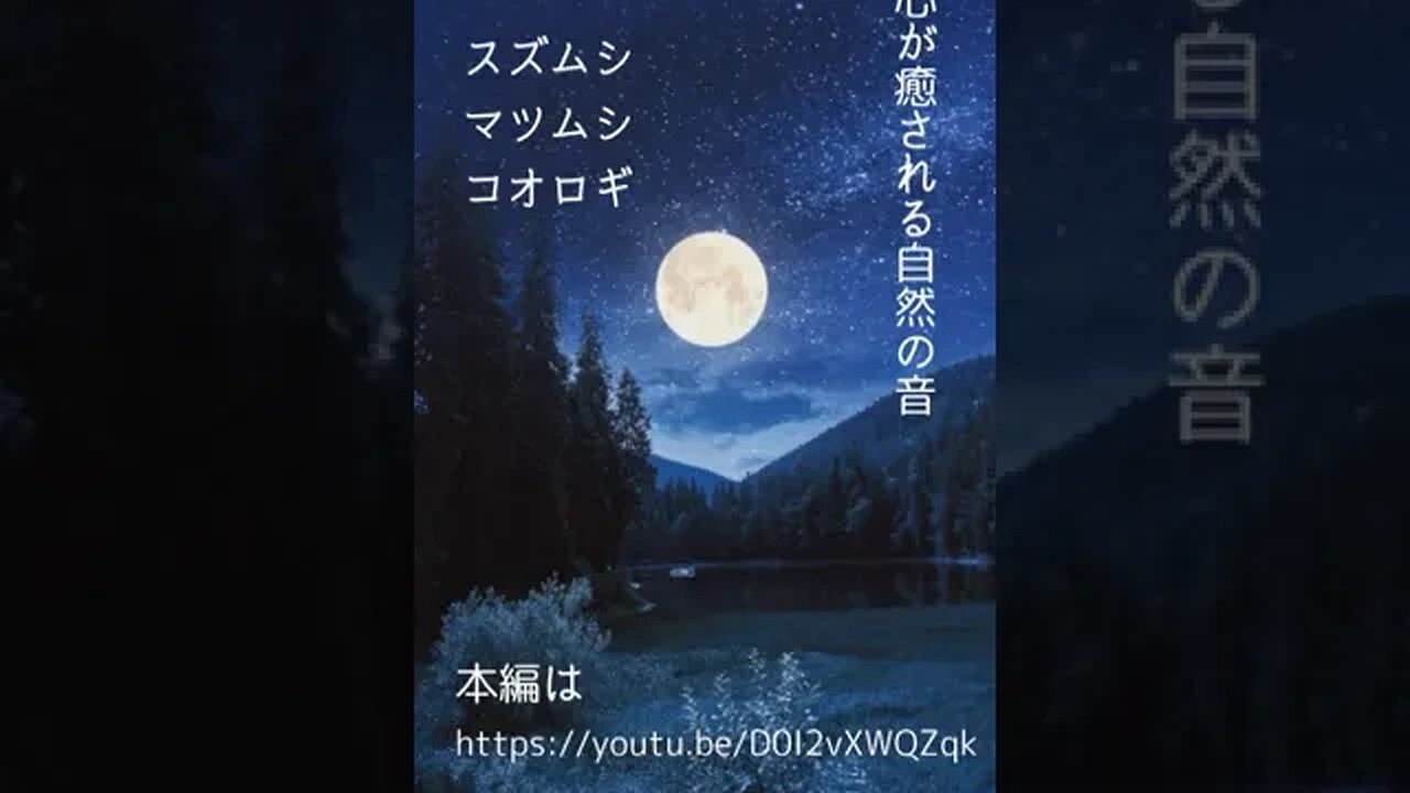 「安心安眠BGM」スズムシマツムシ、ゆっくり聴きたい田舎の夜の音 #shorts
