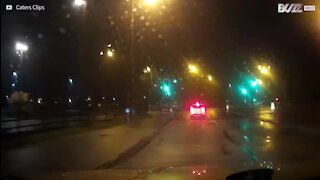 Ce fraudeur à l'assurance rate son coup!