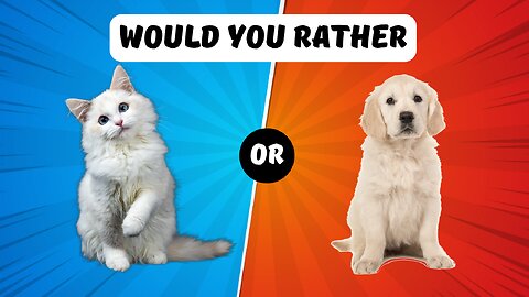 Would you rather