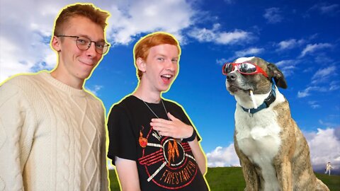 We Tried Not to Laugh at THIS...