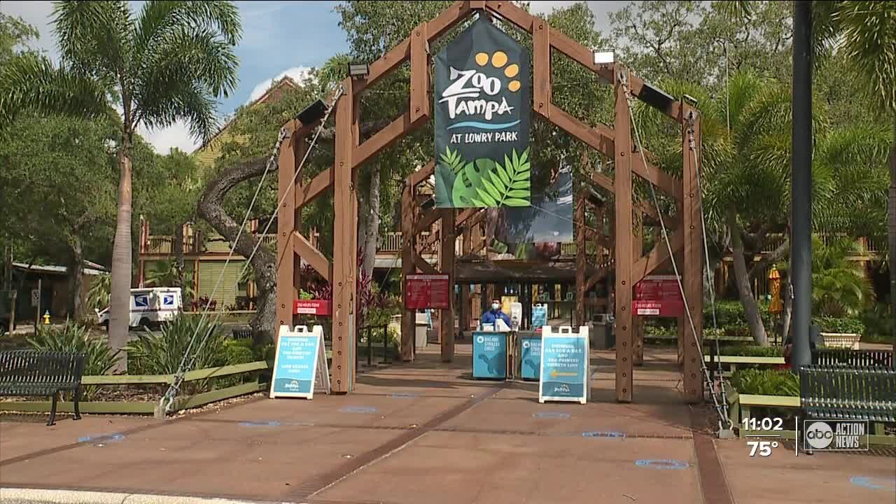 ZooTampa incentivizes COVID-19 vaccine for staff