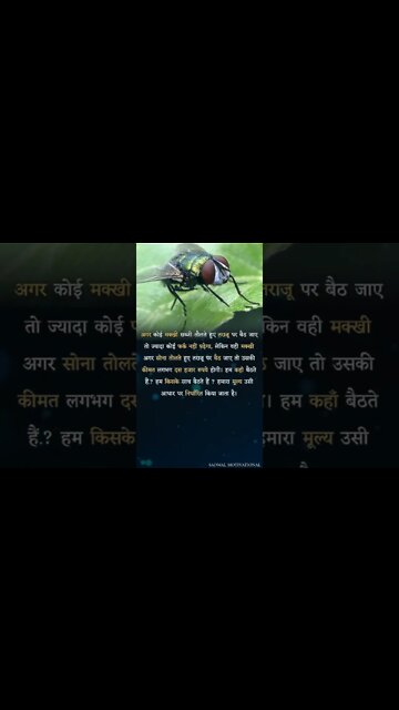 Powerful Motivational speeche motivation quotes success #mfrquotes