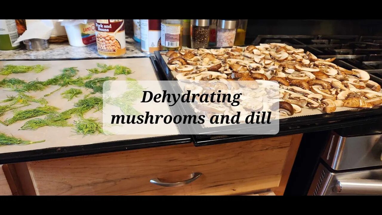 Dehydrating mushrooms and dill #everybitcountschallenge