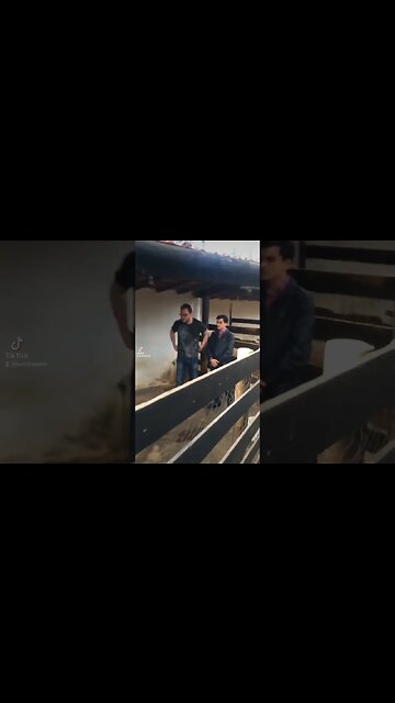 Homens que amavam cabras #shorts Fest @vinheteirolord3098