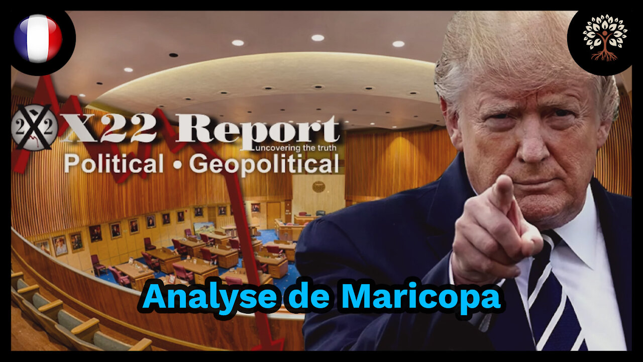 Analyse de l'audit de Maricopa par X22 reports