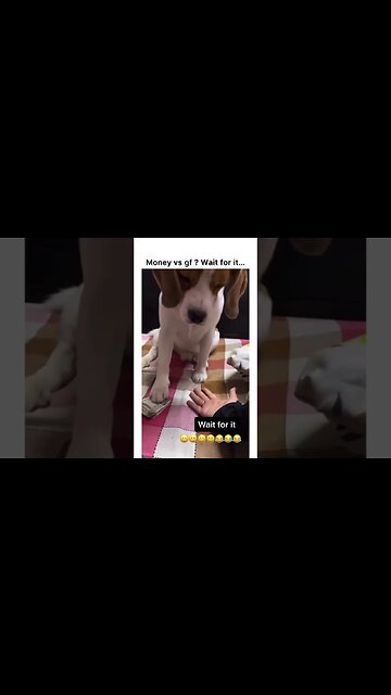 Money vs girlfriend Wait For it…