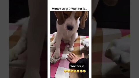 Money vs girlfriend Wait For it…