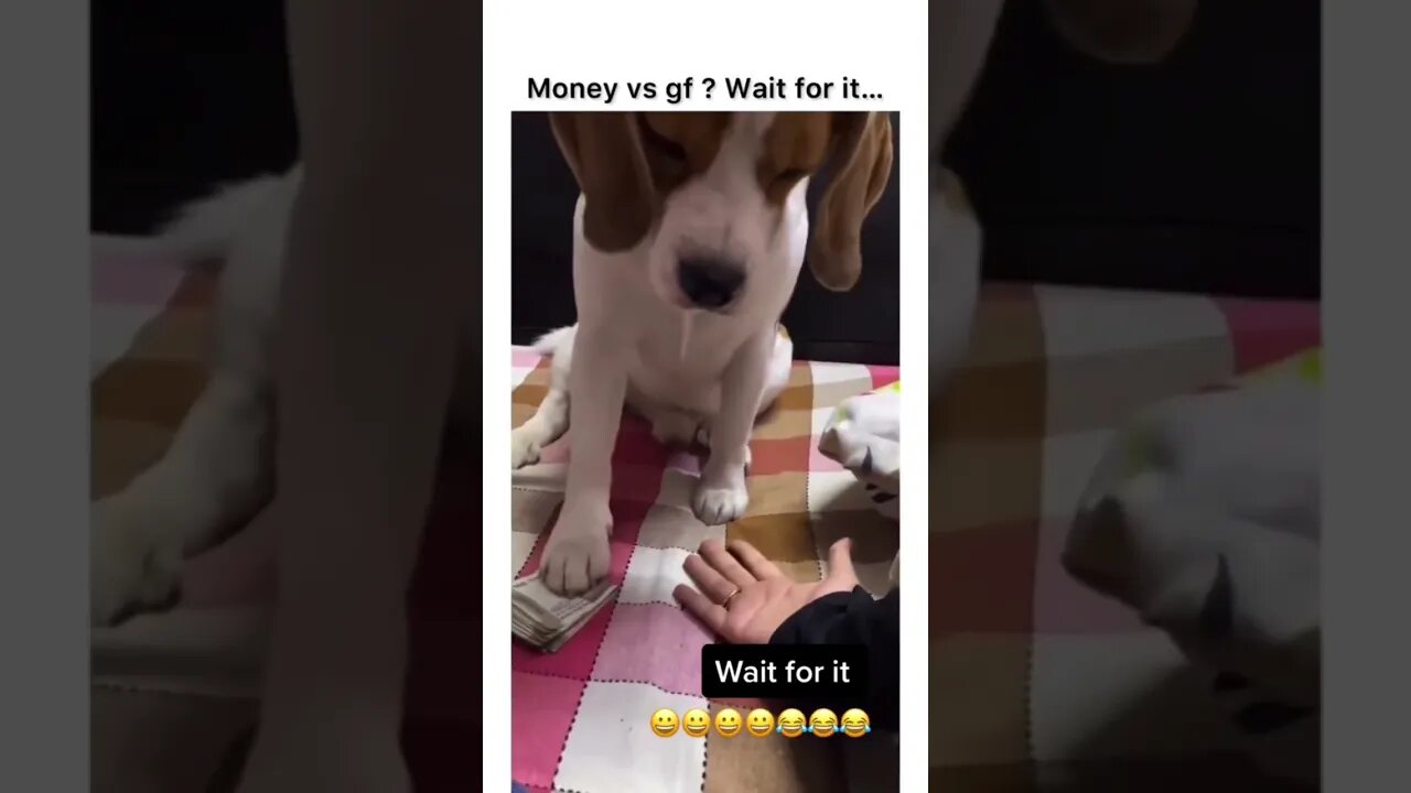 Money vs girlfriend Wait For it…