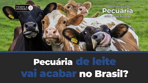 Pecuária de leite vai acabar no Brasil? Esse é o comentário de hoje no T&D de Celso Ricardo