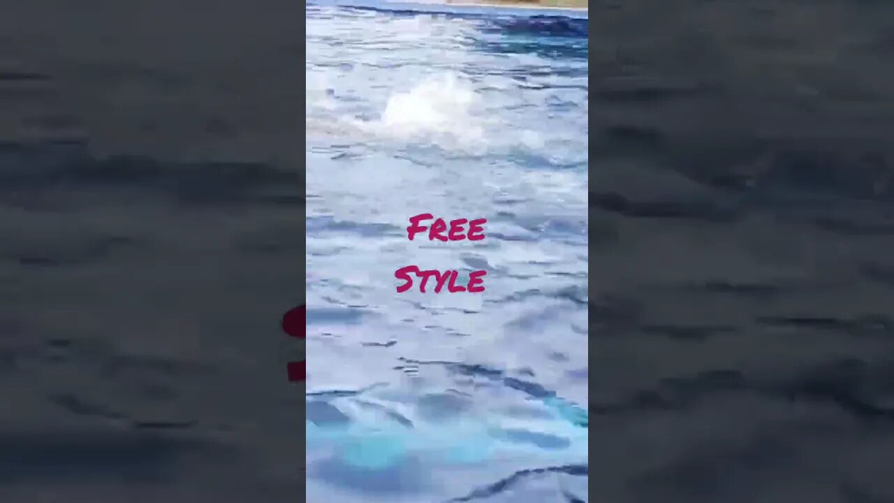 Free Style Swim