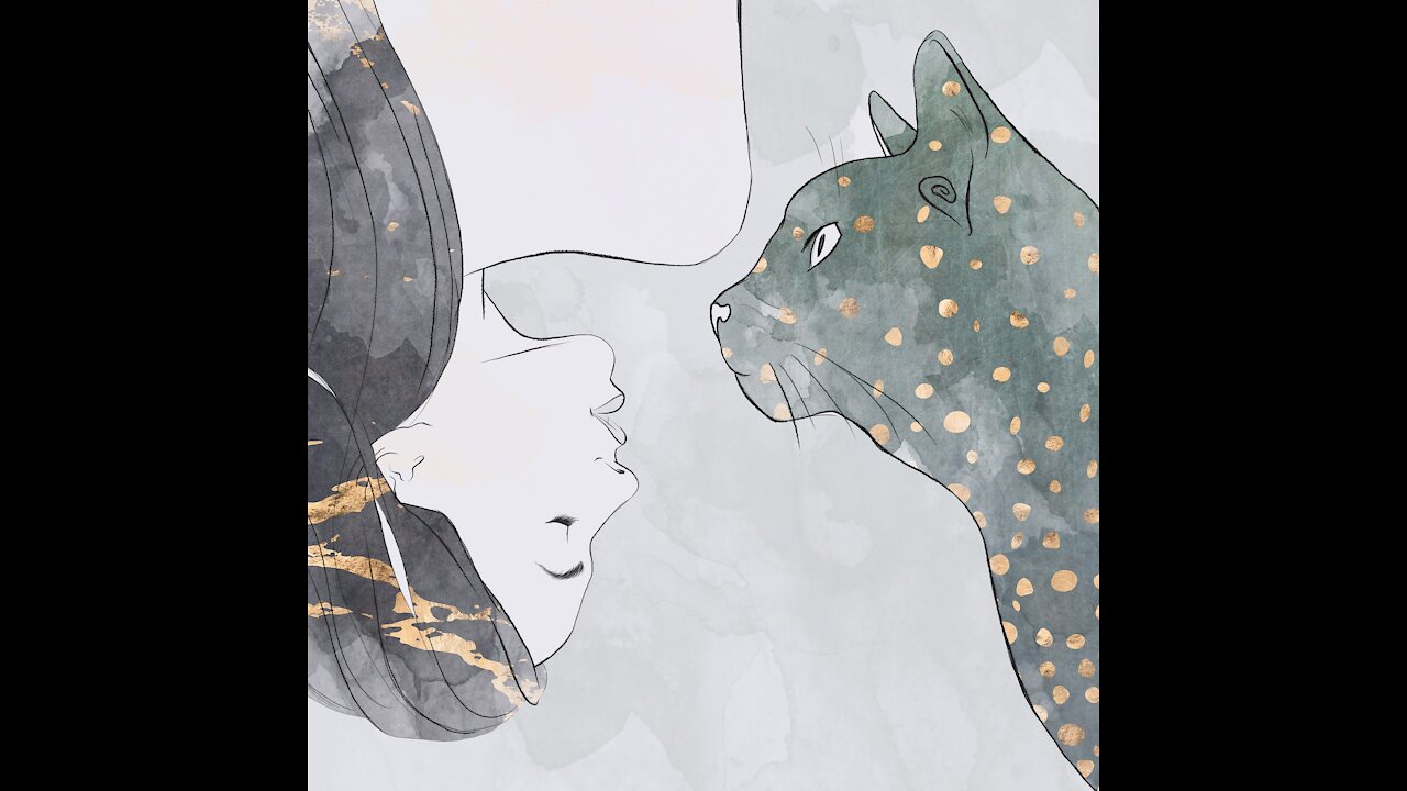 black cat read wonderful