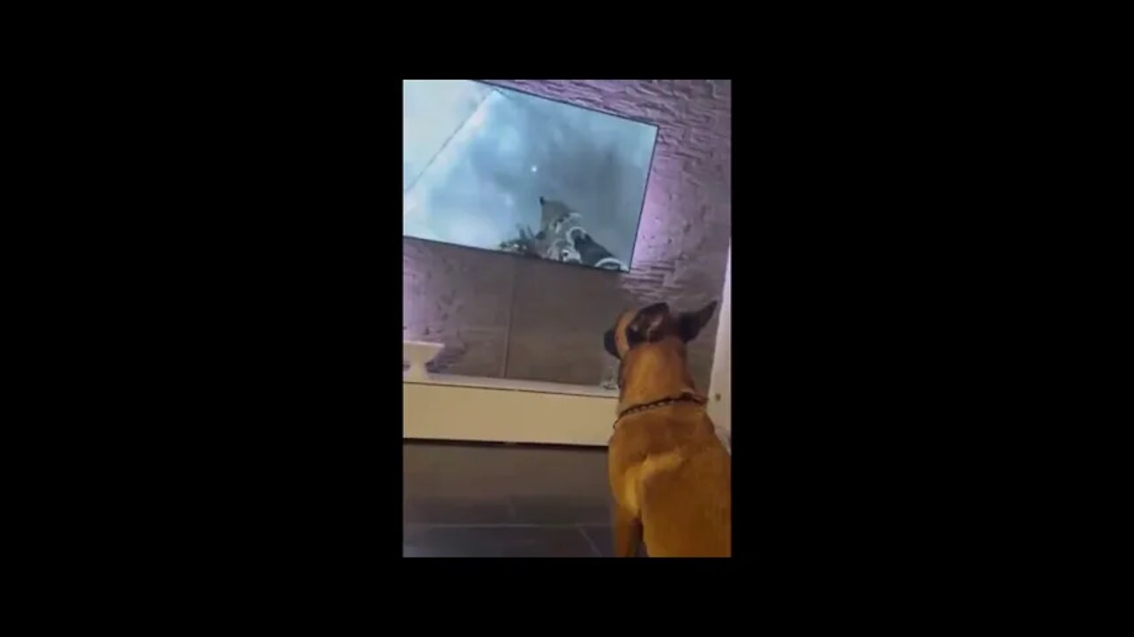 He looks a little nervous now