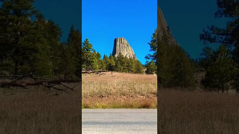 What Would You Say if You Saw This at Devils Tower in Wyoming? #shorts #wyoming