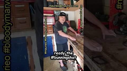 #maurieo #shorts READY THE BUNNINGS HAT