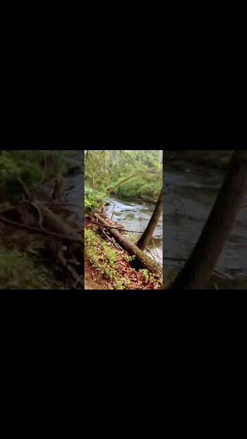 Nothing like Summer. Work it out.