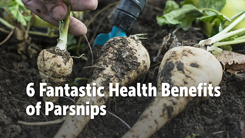 6 Fantastic Health Benefits of Parsnips