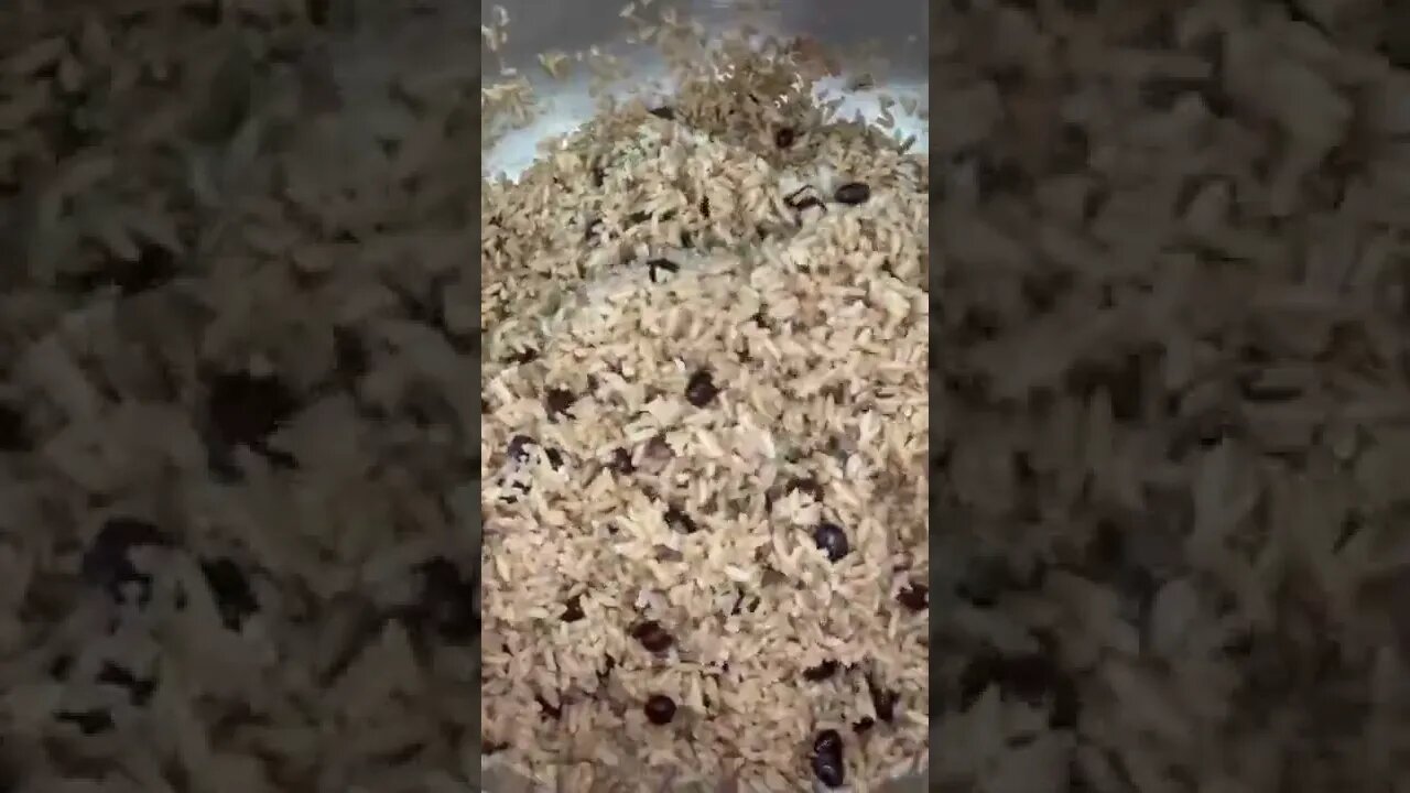 She can cook, bro | @cocinando_con_shaduka84 on IG 🐂🤩 #shorts