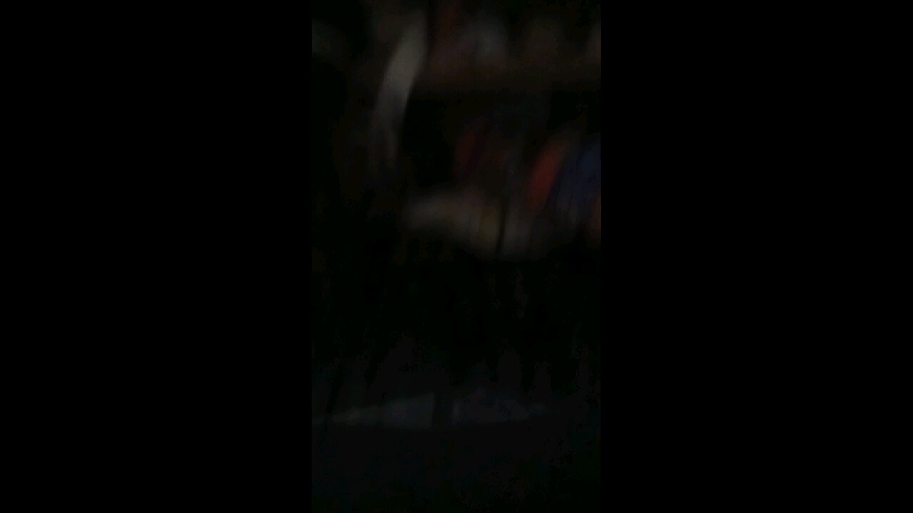 covid was and is a scam