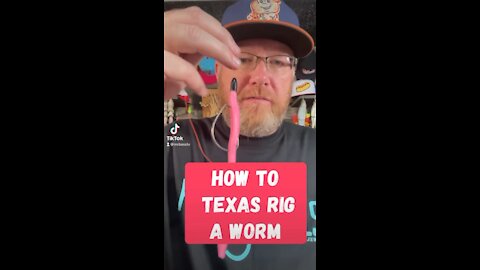 How to TEXAS RIG a worm