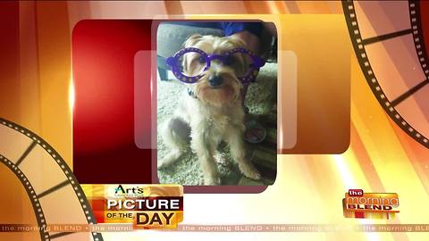 Art's Cameras Plus Picture of the Day for 9/19!