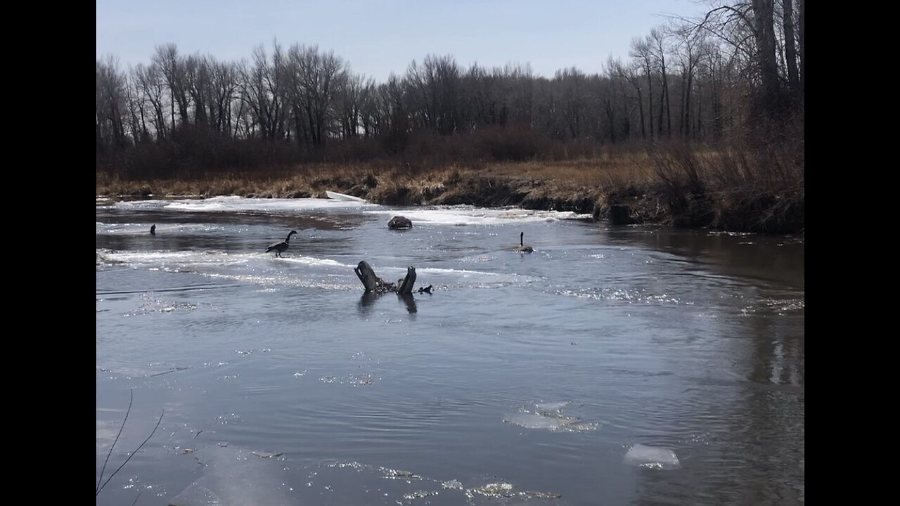 Frozen River Thawing Out