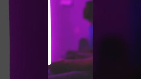 WAVVYP LIGHT EDIT