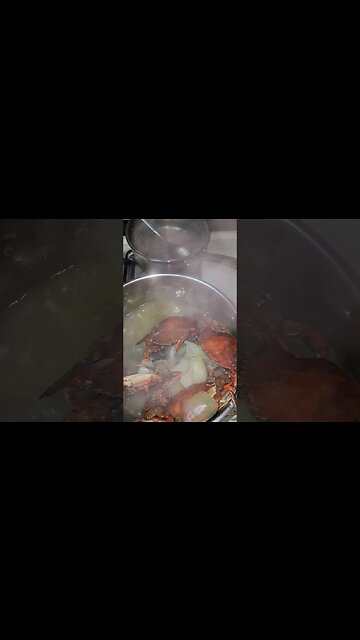 Midnight Crabs Ready!