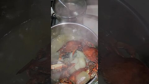 Midnight Crabs Ready!