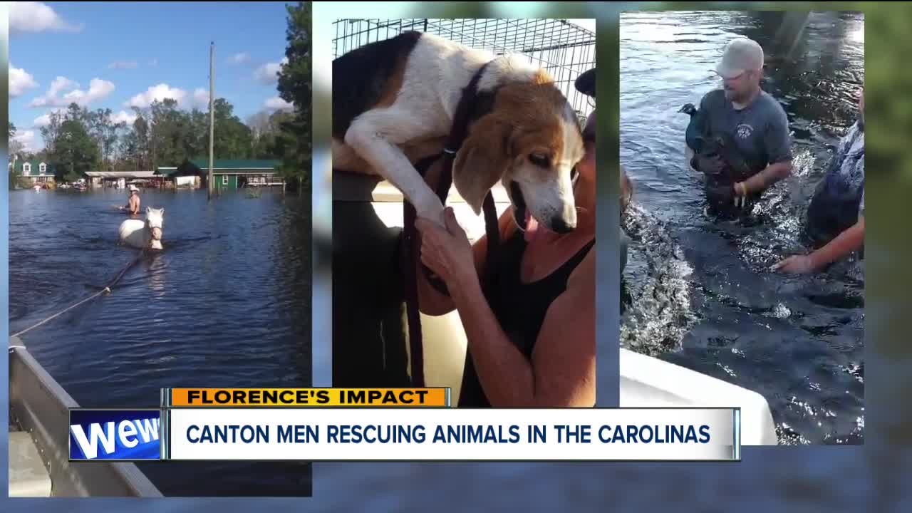 Canton duo risk life and limb in high-risk animal rescues in NC