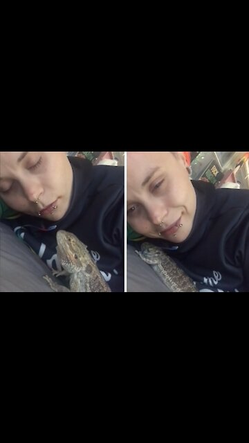 Pet lizard notices owner is sleeping, adorably cuddles with her