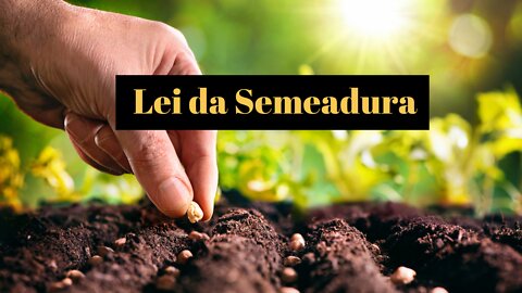 Lei da Semeadura